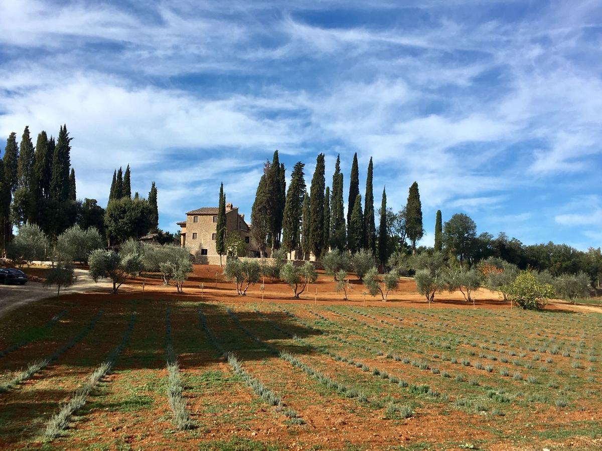 La Tenuta Di Castelvecchio Σαν Τζιμινιάνο Εξωτερικό φωτογραφία